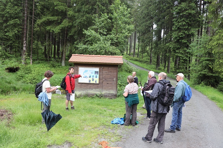 Am Lehstenbach Messwehr (Foto: Andreas Peterek)