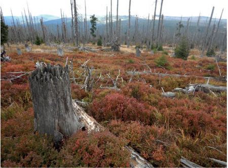 Nature based solutions in the face of climate extremes