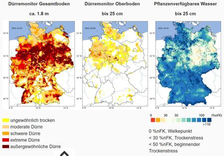 Nach viel Regen - Trockenheit nur oberflächlich besiegt