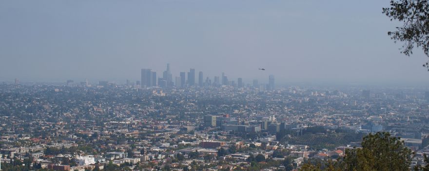 LA