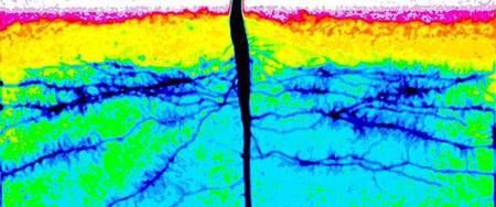 Vorstellungsvorträge zur Besetzung der W3-Professur Bodenphysik