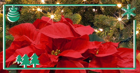 Merry Christmas and Happy New Year 2022