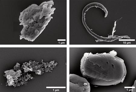 Von Staub lernen: Mikroplastik-Forscher*innen vergleichen Gesundheitsgefahren von Mikropartikeln