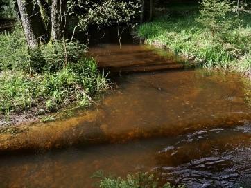 Weltwassertag 2022: Lebensgrundlage Grundwasser aktiv pflegen!