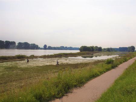 Neue Studie untersucht Mikroplastikbelastung in einer Rheinaue bei Köln