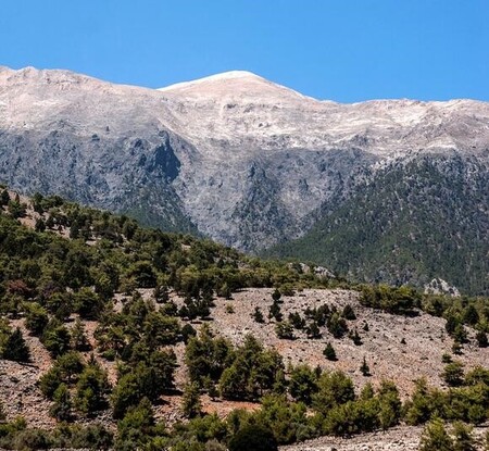 Case study: Decades of climate change do not cause a shift in the tree line in Cretan mountains