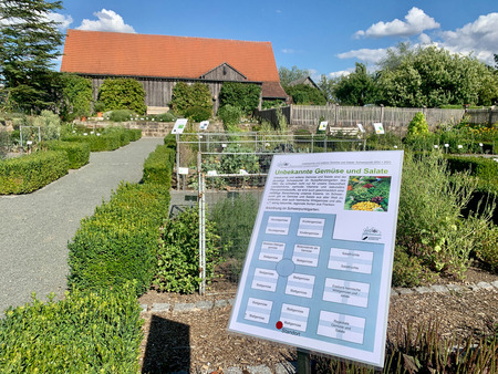 Sommerschwerpunkt im ÖBG: Unbekannte und seltene Gemüse und Salate