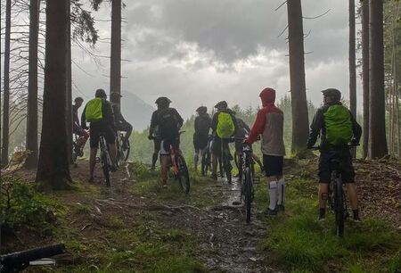 Umweltwirkungen des Mountainbikens