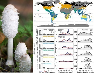 6,1 Millionen Datenpunkte belegen den Einfluss des Klimas auf das globale Pilzvorkommen