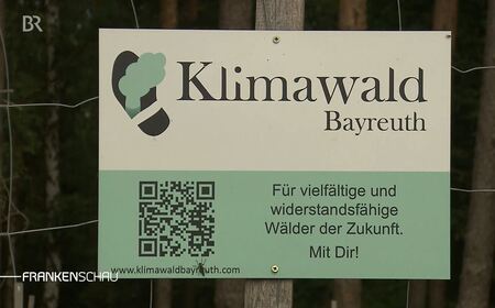 Klimawald Bayreuth in der Frankenschau