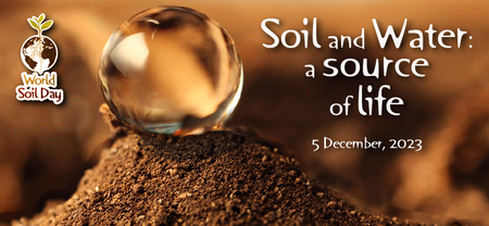 Am 5. Dezember ist World Soil Day