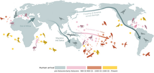 Study reveals largest human-caused bird die-off