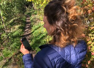 Tourenplanung in Nordostbayern: 86 Prozent der Outdoor-Aktivitäten werden digital geplant