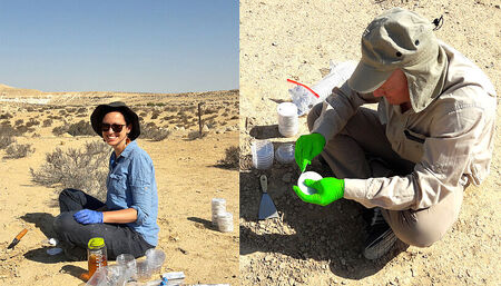 How soil microbes survive in harsh desert environments