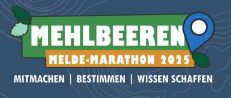 Citizen Science Project: Mehlbeeren Melde-Marathon
