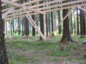 Waldböden als temporäre Lachgassenke