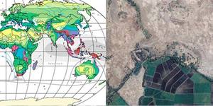 Summer School des Masterstudiengangs „Global Chance Ecology“