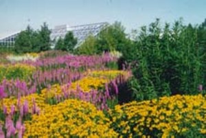 Ökologisch-Botanischer Garten