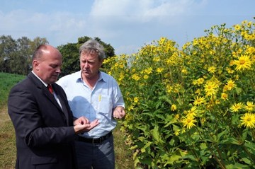 Biogas aus Becherpflanzen