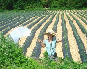 Schädlinge natürlich kontrollieren: Einfluss von Artenvielfalt und Landschaftsstruktur