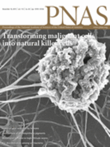 Fungal networks: How to survice draught