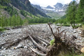 Satellitendaten für Natur- und Umweltschutz