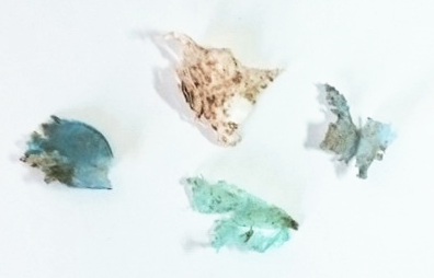 Macro- and microplastics on an agricultural farmland