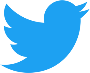 BayCEER is now on Twitter