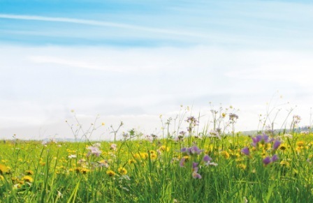 Perspektivwechsel: Biodiversität in Bayern