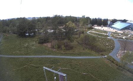 Outdoor area of the ÖBG remains open for visitors