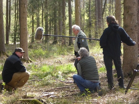 Online-Voting: Klimawald Bayreuth second best