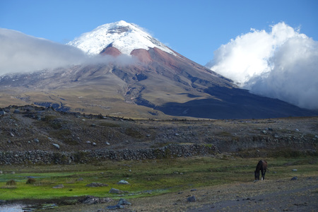 Tropical nature reserves to be particularly affected by future climate change