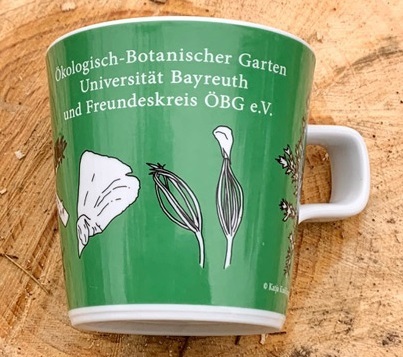 Now available: The ÖBG collection cup "Cedar"