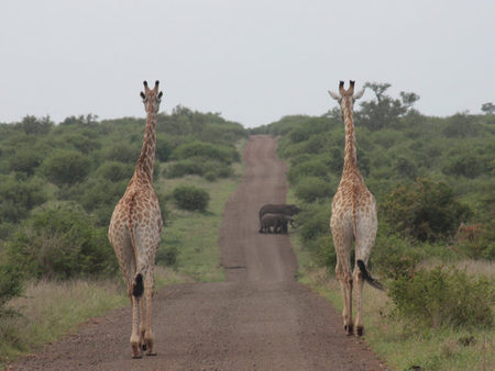 Protected Areas Are Not Safe from Climate Change