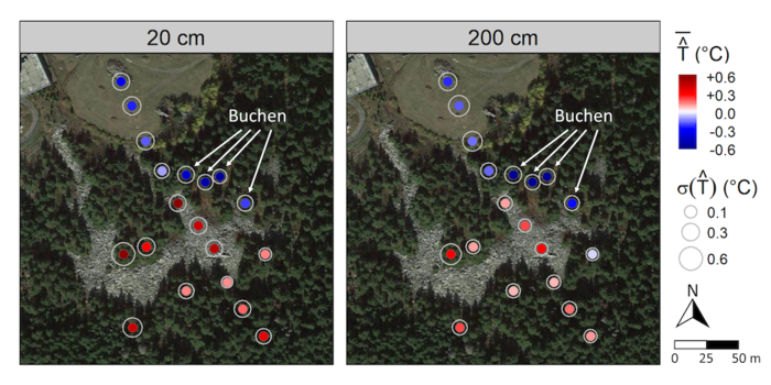 Schneeberg Temperaturverteilung Masterarbeit Spätfrost Rotbuche