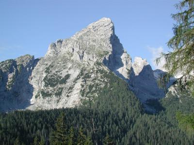 Ecology in Mountain Regions