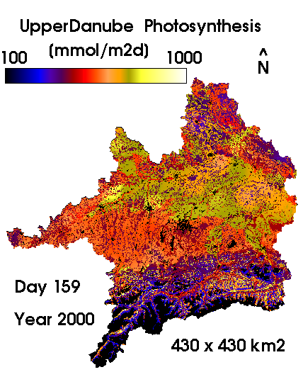 Simulation Modelling and Scaling