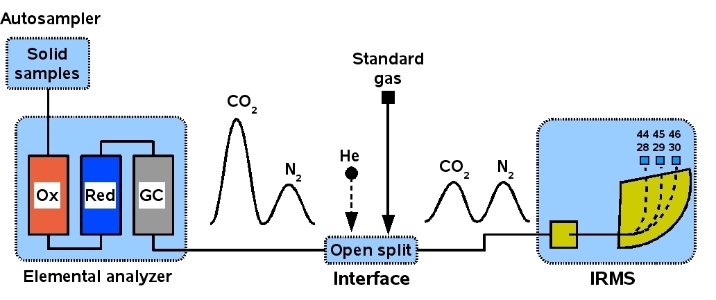 EA-IRMS-Kopplung (1)