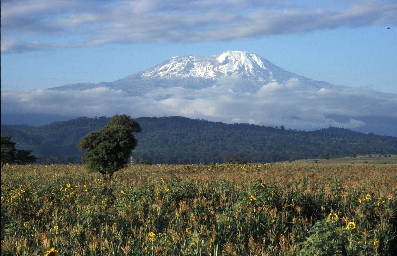 Kilimandjaro, 5895 m Kilimandjaro, 5895 m