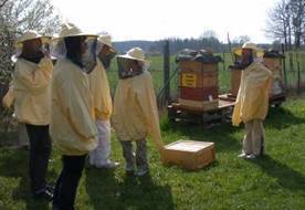Bienenstock