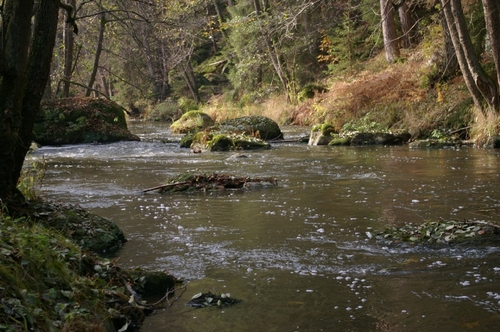 Waldnaab Waldnaab