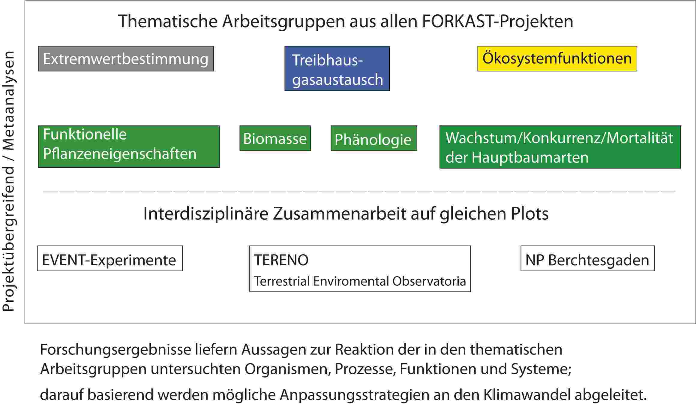 interdiszArbeitsgruppen161010