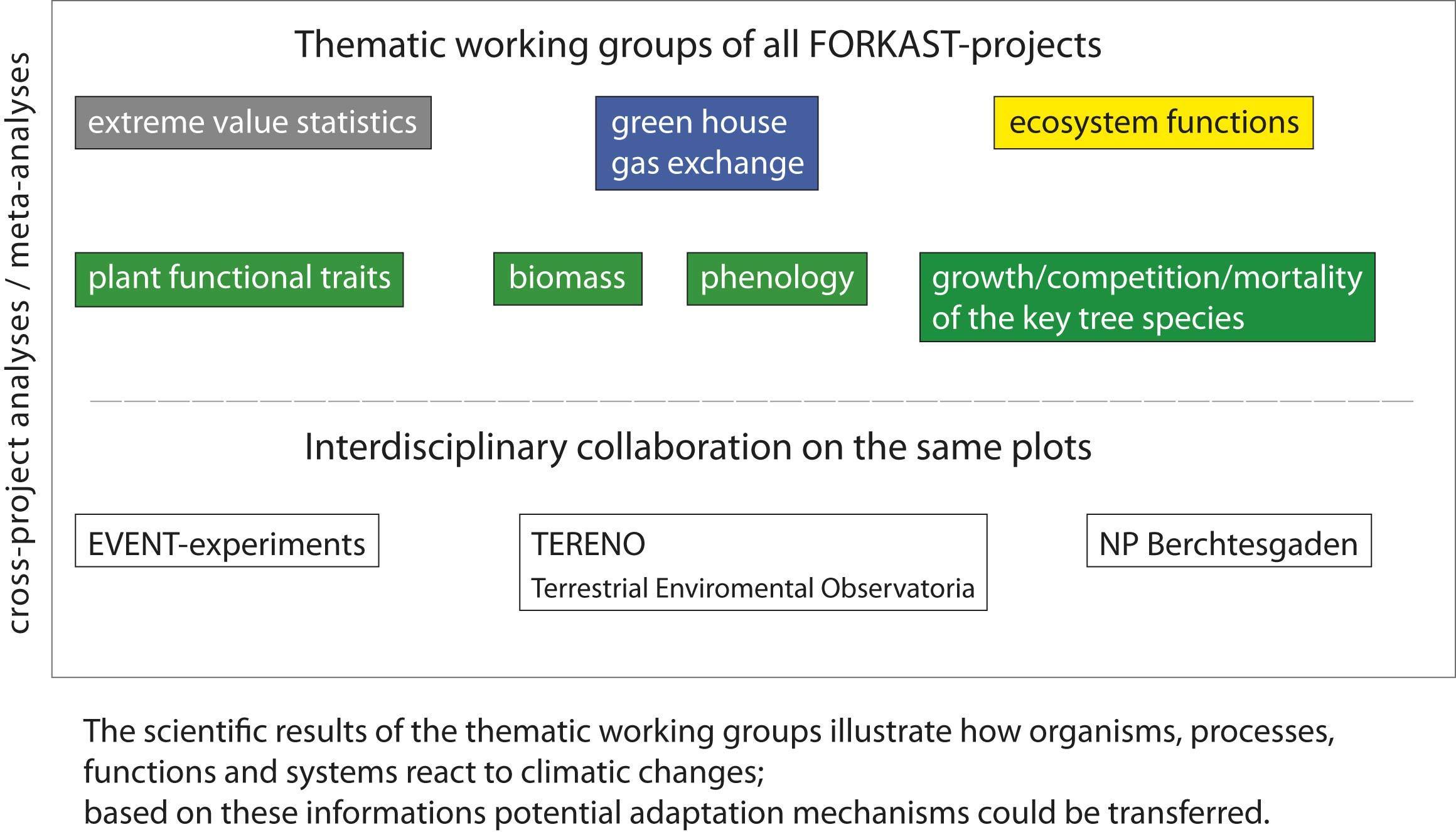 metaanalysen_eng