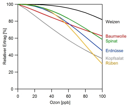 Ozon_ReduzierteErtraege