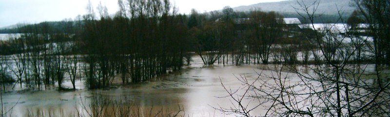 Hochwasser bei Fölschnitz (Foto: Ludwig Zöller)