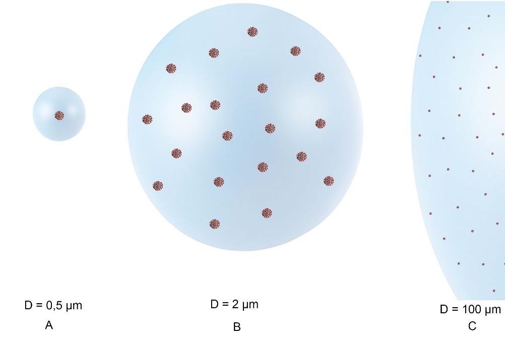 Größenverhältnisse von SARS-CoV-2 Viren