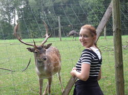 Susanne Brandl