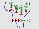 TERRECO