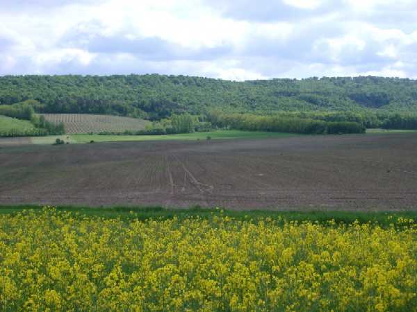 Landwirtschaft