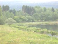 Renaturierung Hirtenbach